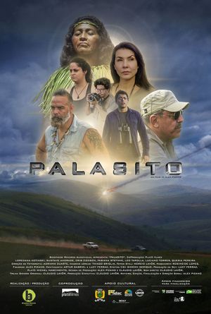 Pallasite's poster