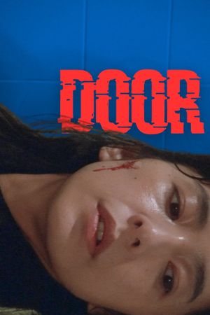 Door's poster