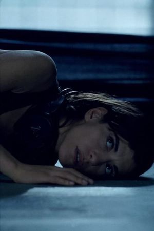 Echo's poster