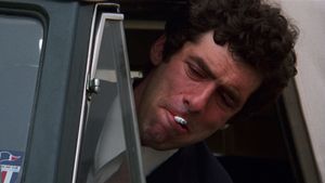The Long Goodbye's poster