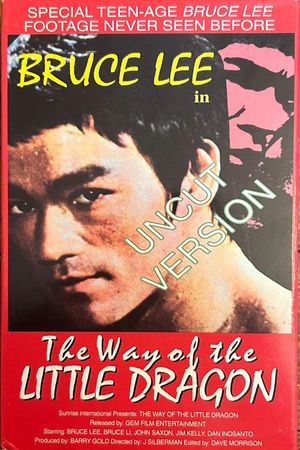 The Way of the Little Dragon's poster