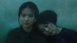 The Handmaiden's poster