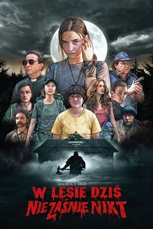 Nobody Sleeps in the Woods Tonight's poster