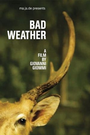 Bad Weather's poster