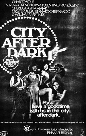 City After Dark's poster