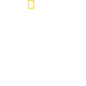 King Of Coke: Living The High Life's poster