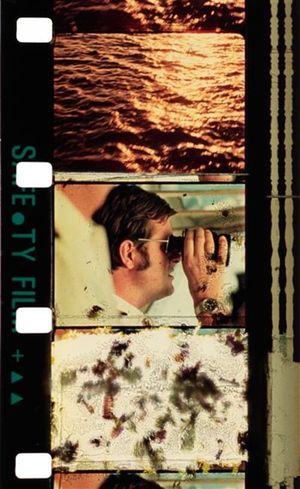 Cruises's poster