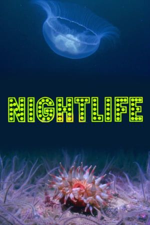 Nightlife's poster