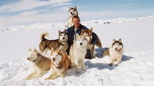 Eight Below's poster