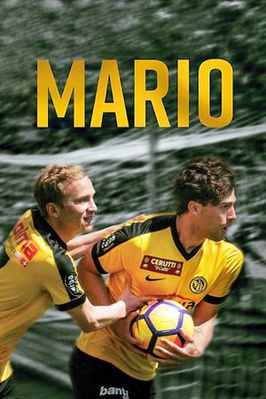 Mario's poster