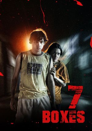 7 Boxes's poster