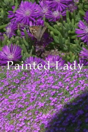 Painted Lady's poster