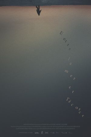 Between the Sea and the Bark's poster