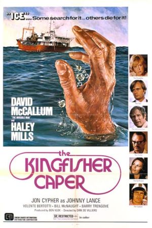 The Kingfisher Caper's poster