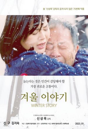 Winter Story's poster