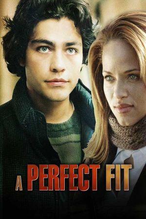 A Perfect Fit's poster