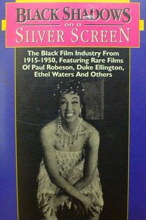 Black Shadows on a Silver Screen's poster