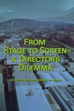 From Stage to Screen---A Director's Dilemma's poster