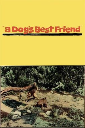 A Dog's Best Friend's poster image