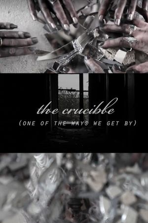 Crucible's poster