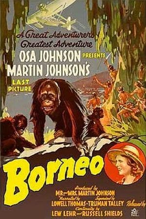 Borneo's poster