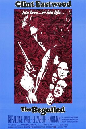 The Beguiled's poster