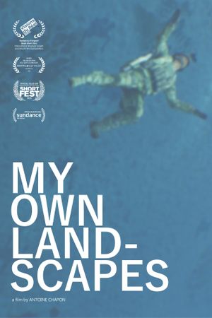 My Own Landscapes's poster image