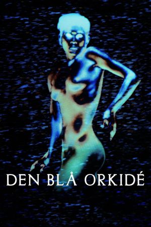 The Blue Orchid's poster