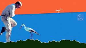 Stork Day's poster
