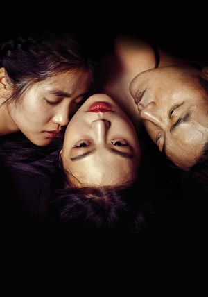 The Handmaiden's poster