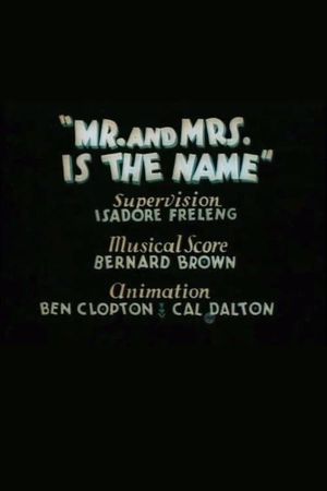 Mr. and Mrs. Is the Name's poster