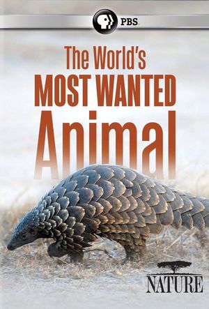 Pangolins: The World's Most Wanted Animal's poster