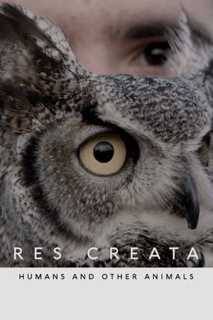 Res Creata's poster