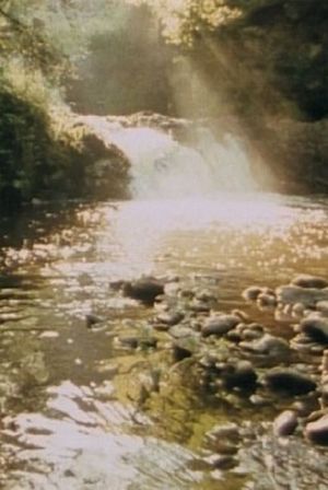 Landscape's poster