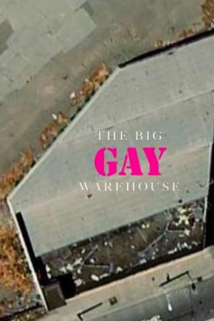 The Big Gay Doc's poster