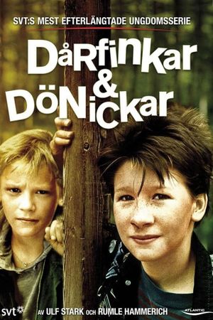 Darfinkar & Donickar: The Movie's poster