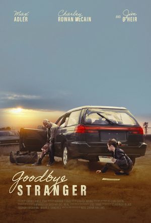 Goodbye Stranger's poster image