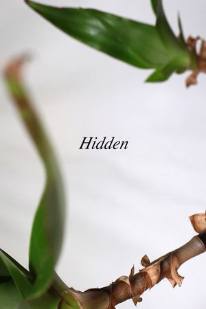 Hidden's poster
