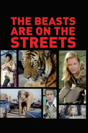 The Beasts Are on the Streets's poster