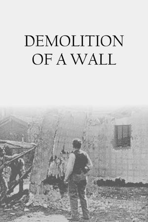 Demolition of a Wall's poster