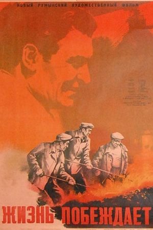 Life Triumphs's poster