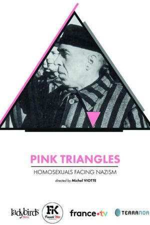 Pink Triangles, Homosexuals Facing Nazism's poster