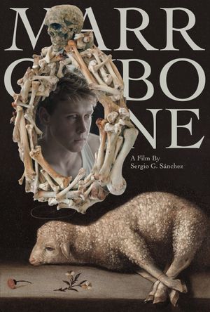 Marrowbone's poster