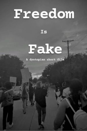 Freedom Is Fake's poster