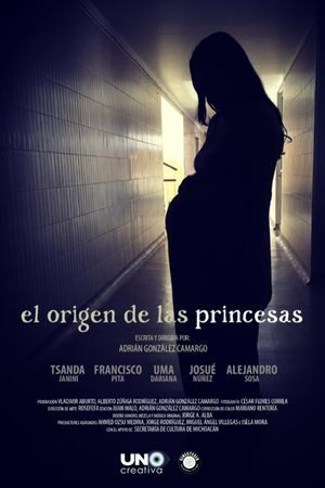 The provenance of the princesses's poster image