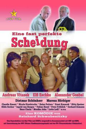 Eine fast perfekte Scheidung's poster