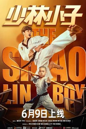 The Shaolin Boy's poster