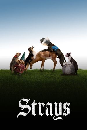 Strays's poster