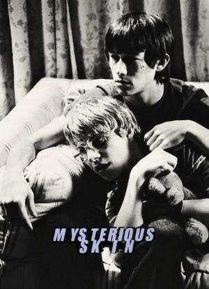 Mysterious Skin's poster