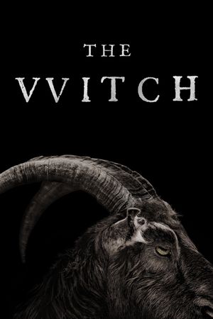 The Witch's poster